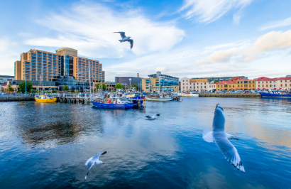 Premier Travel Tasmania - Western Wilderness & Wildlife Encounter - Day 9