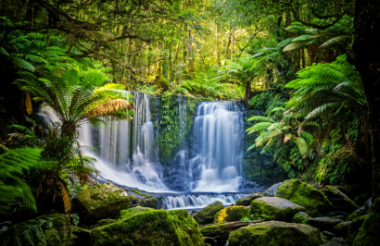 Experience the best of New Zealand with these touring ideas