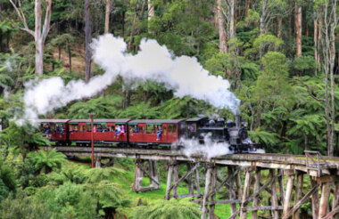 Puffing Billy And Phillip Island Penguin Parade Bus Tour with Wine Hop and Coastal Tours