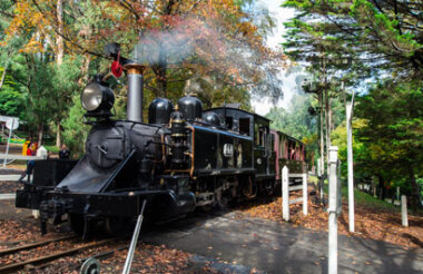 Puffing Billy And Phillip Island Penguin Parade Bus Tour with Wine Hop and Coastal Tours