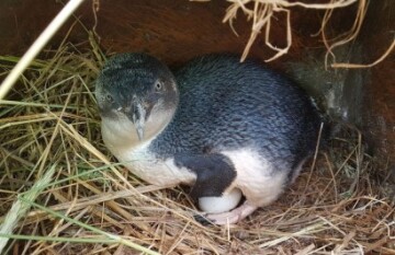 Off The Beaten Path - Day 7