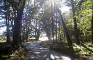 Lord of the Rings Scenic Tour with Pure Glenorchy