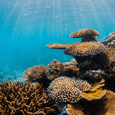 Experience the best of New Zealand with these touring ideas