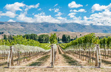 Queenstown Circuit South Island Highlights - Day 1