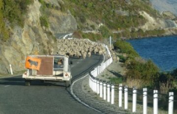 South Island Coast to Coast - Day 8