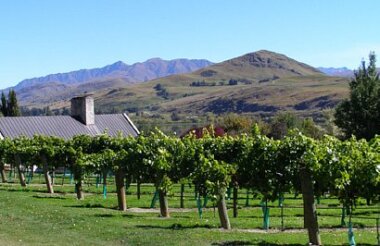 Wine Hopper Bus with Queenstown Wine Trail