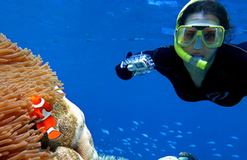 6 Day Great Barrier Reef & Rainforest Self Drive Holiday - Day 3