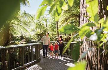 Inspiring Journeys 19 Day The Long White Cloud - Day 17