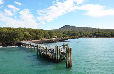 Rangitoto Island