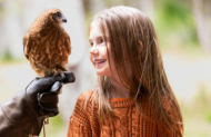 Birds of Prey Encounter & Forest Walk with Capes Raptor Centre