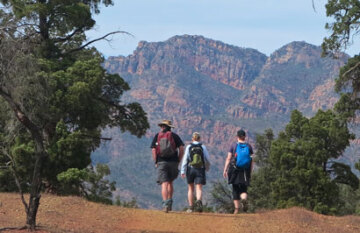 South Australia Outback & Wine Tour - Day 4
