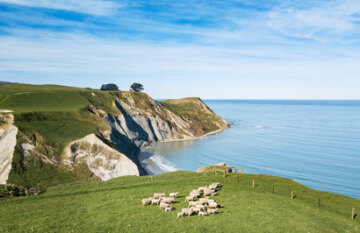 The Essential New Zealand - Day 19