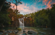 Falls to Paradise Tour with Red Cat Adventures - Lunch Included