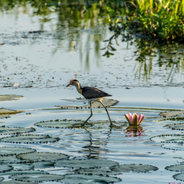 See all of New Zealand with a tailor-made package holiday