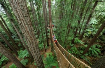 Aotearoa on a Plate: Auckland to Wellington - Day 6