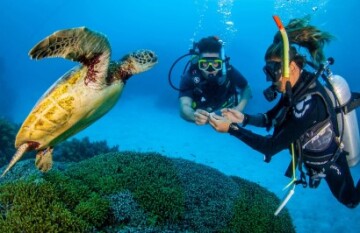 Ultimate East & South Coast Adventure - Day 15