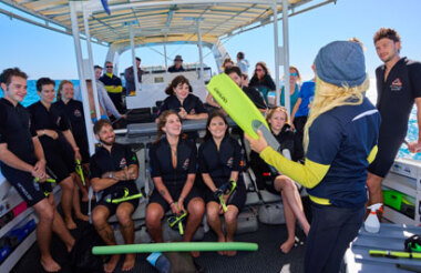 Half Day Great Barrier Reef  Snorkeling Tour with Reef Adventures