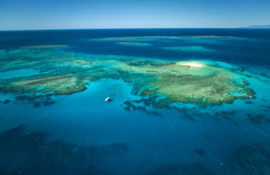 Half Day Great Barrier Reef  Snorkeling Tour with Reef Adventures