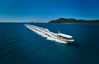 Half Day Great Barrier Reef  Snorkeling Tour with Reef Adventures