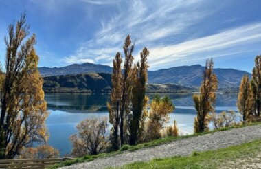 Everything Queenstown Private Tour with Remarkable Scenic Tours