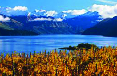 Rippon Vineyard Private Wine Tasting