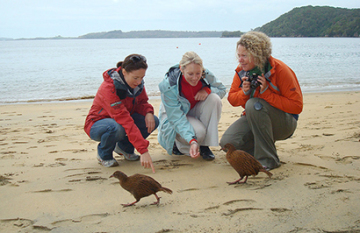 Southern Coast and Stewart Island Nature Tour - Day 8