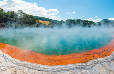 Auckland to Rotorua including Waitomo Caves with GreatSights