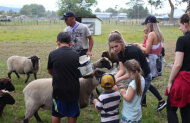 Rotorua Heritage Farm Tour + 3d Art Gallery Combo