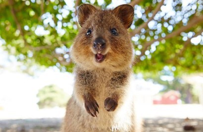 Outback Spirit - South Western Explorer - Day 10