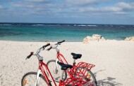 1 Day Bike Hire with Rottnest Express