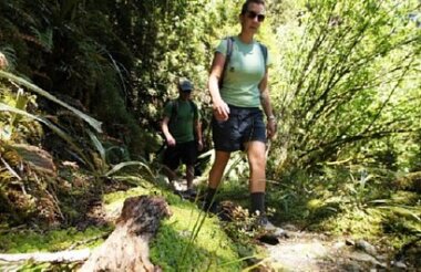 Guided Walks NZ - Routeburn Track Day Walk