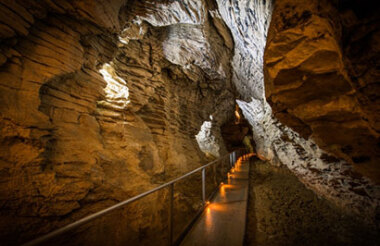 Auckland to Rotorua with Hobbiton & Waitomo Glow Worms Tour with FlexiTours - Lunch Included
