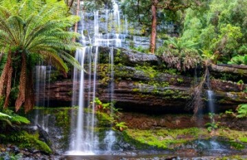 The Down Under Tour - Day 45