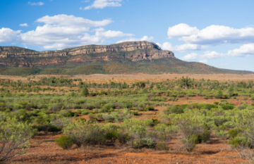 SA Eco Tours: Kati Thanda-Lake Eyre Flight & Flinders Ranges Small Group Eco Tour - Day 4