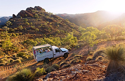 SA Eco Tours: Adelaide to Kati Thanda-Lake Eyre Small Group Eco Safari - Day 5