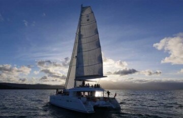 Tropical Reef and Rainforest Tour - Day 3