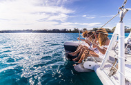 The Ultimate Gold Coast Boating Experience with Sailing in Paradise