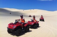 One Hour Quad Bike Tour with Sand Dune Adventures