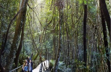 Blue Mountains All-Inclusive Small Group Day Tour with Andersons Tours