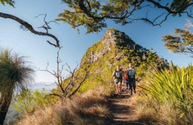 Spicers Scenic Rim Trail 4 Day Walk