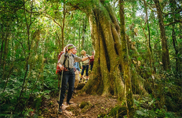 Scenic Rim & Gold Coast Adventure - Day 3