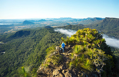 Scenic Rim & Gold Coast Adventure - Day 5