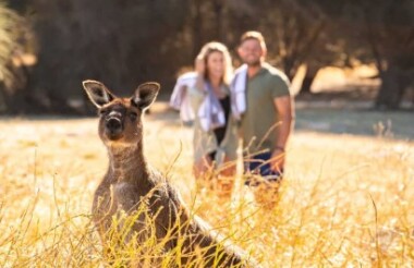 NZ self drive itineraries and package holidays