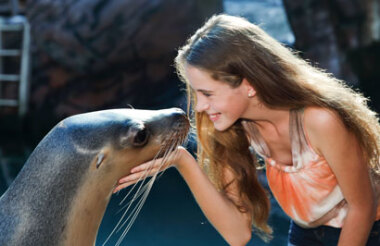 General Admission at SEA LIFE Sunshine Coast Aquarium