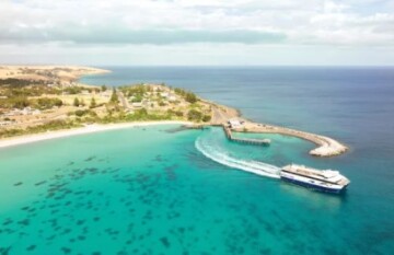 Iconic Australian Wildlife and Nature Tour - Day 8