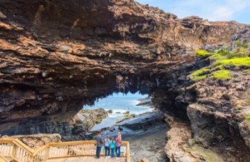 Iconic Australian Wildlife and Nature Tour - Day 7