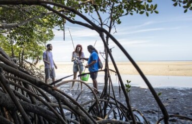 Traditional Aboriginal Fishing with SEIT Daintree Dreaming - Lunch Included