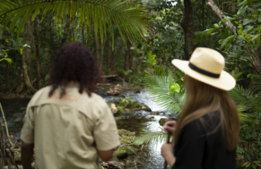 Aboriginal Art and Culture with SEIT Daintree Dreaming - Lunch Included