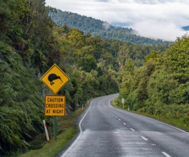 New Zealand road with Kiwi sign