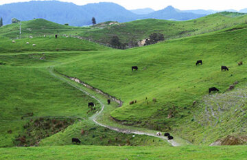 New Zealand's National Parks - Day 4